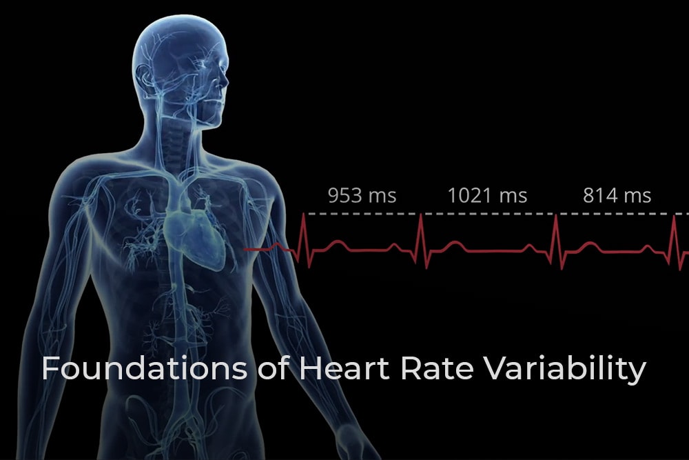Foundations of Heart Rate Variability